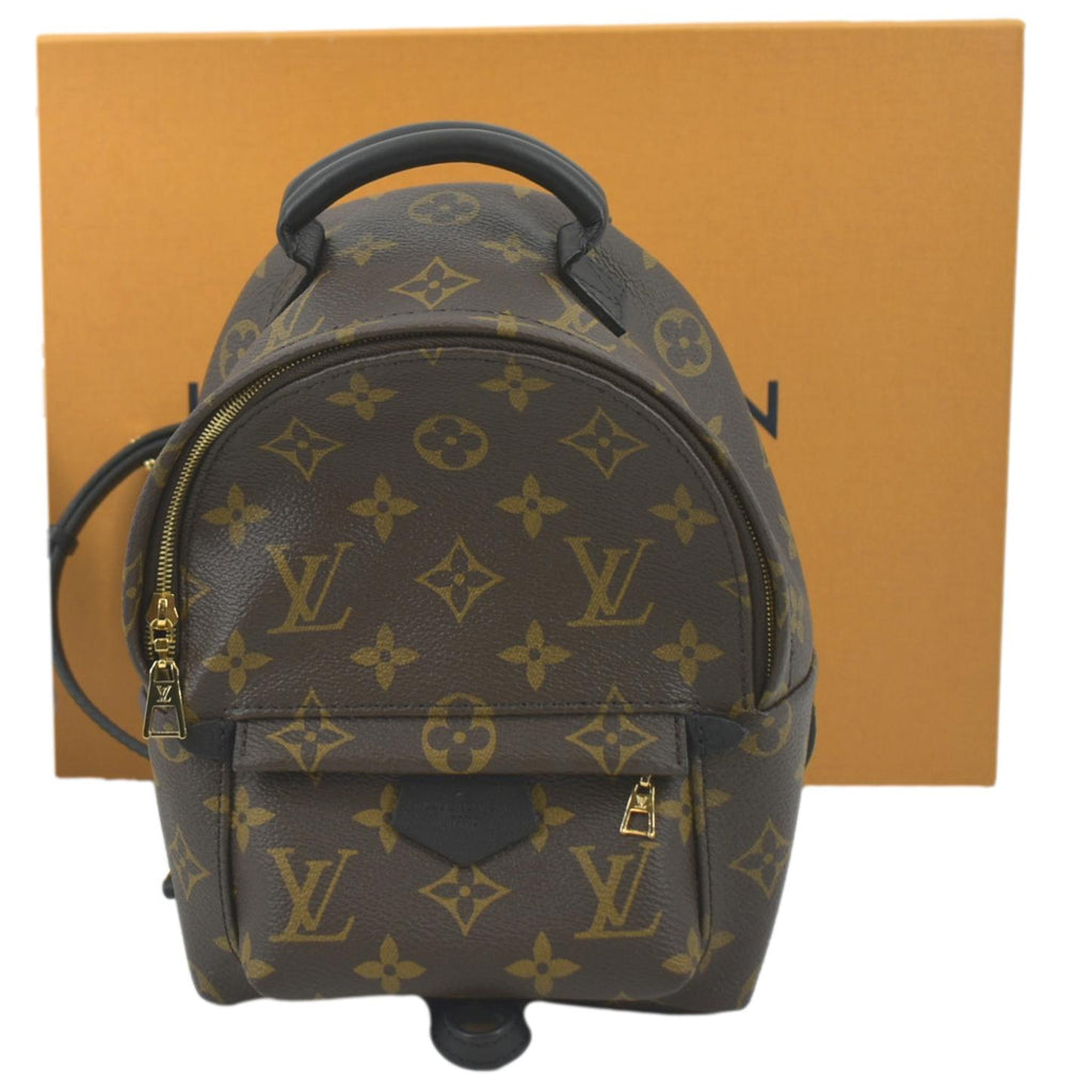 Louis Vuitton Palm Springs Mini Backpack - Touched Vintage