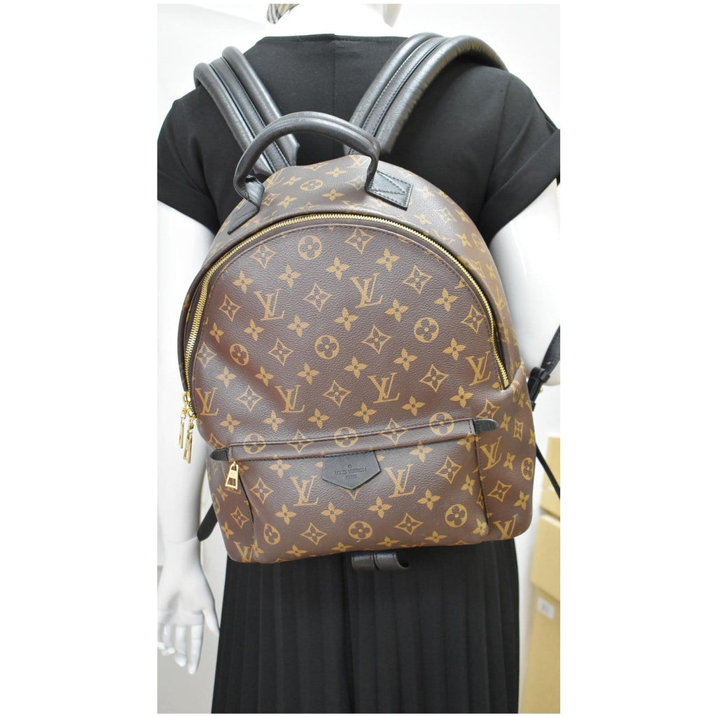 Palm springs backpack Louis Vuitton Brown in Plastic - 36141407