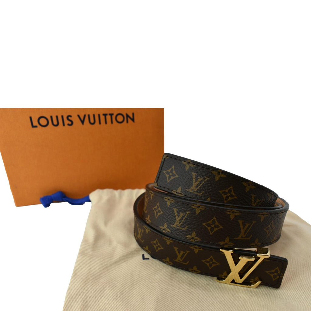 Louis Vuitton Damier Ebene Mini 25MM Belt - Brown Belts, Accessories -  LOU143034