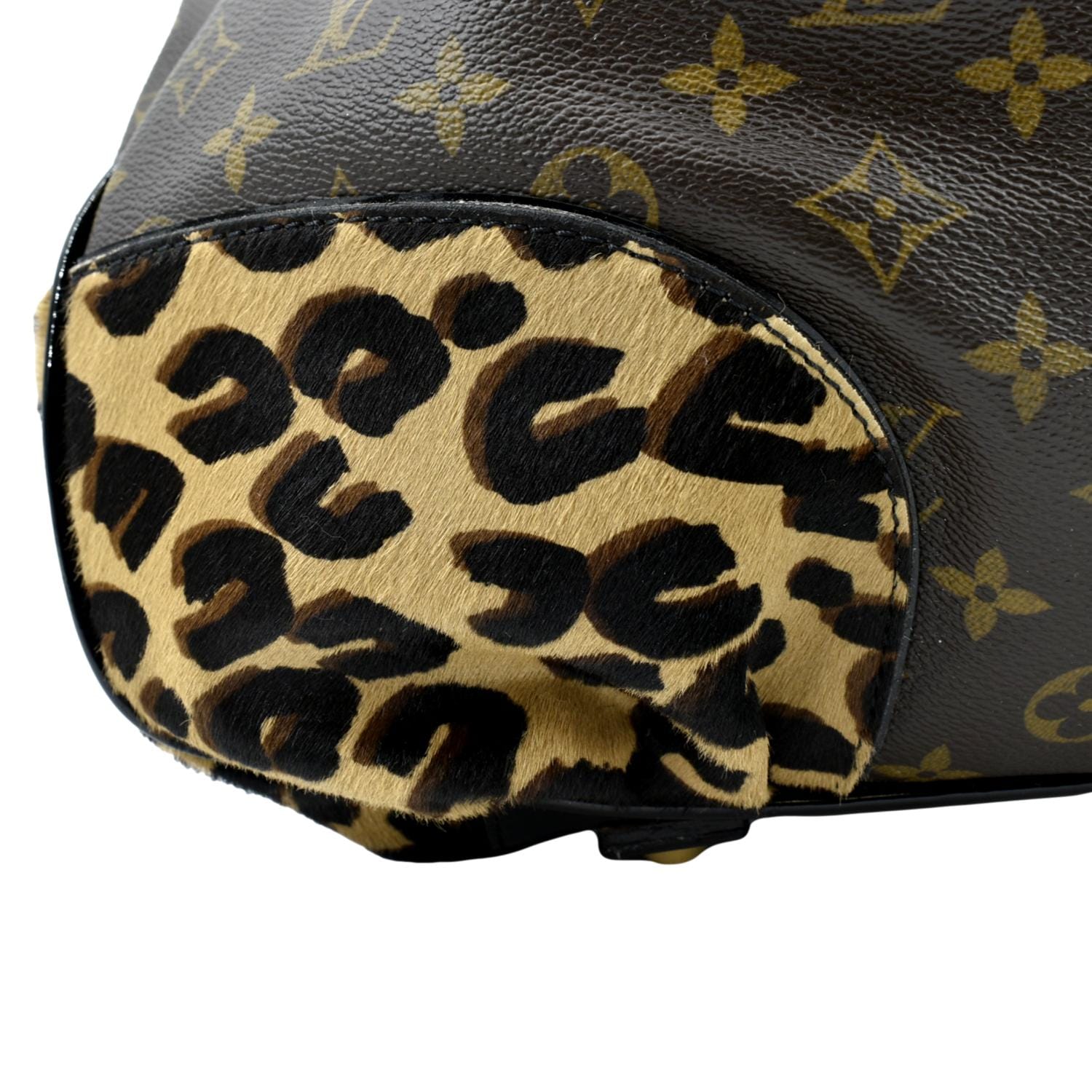 leopard print louis vuittons