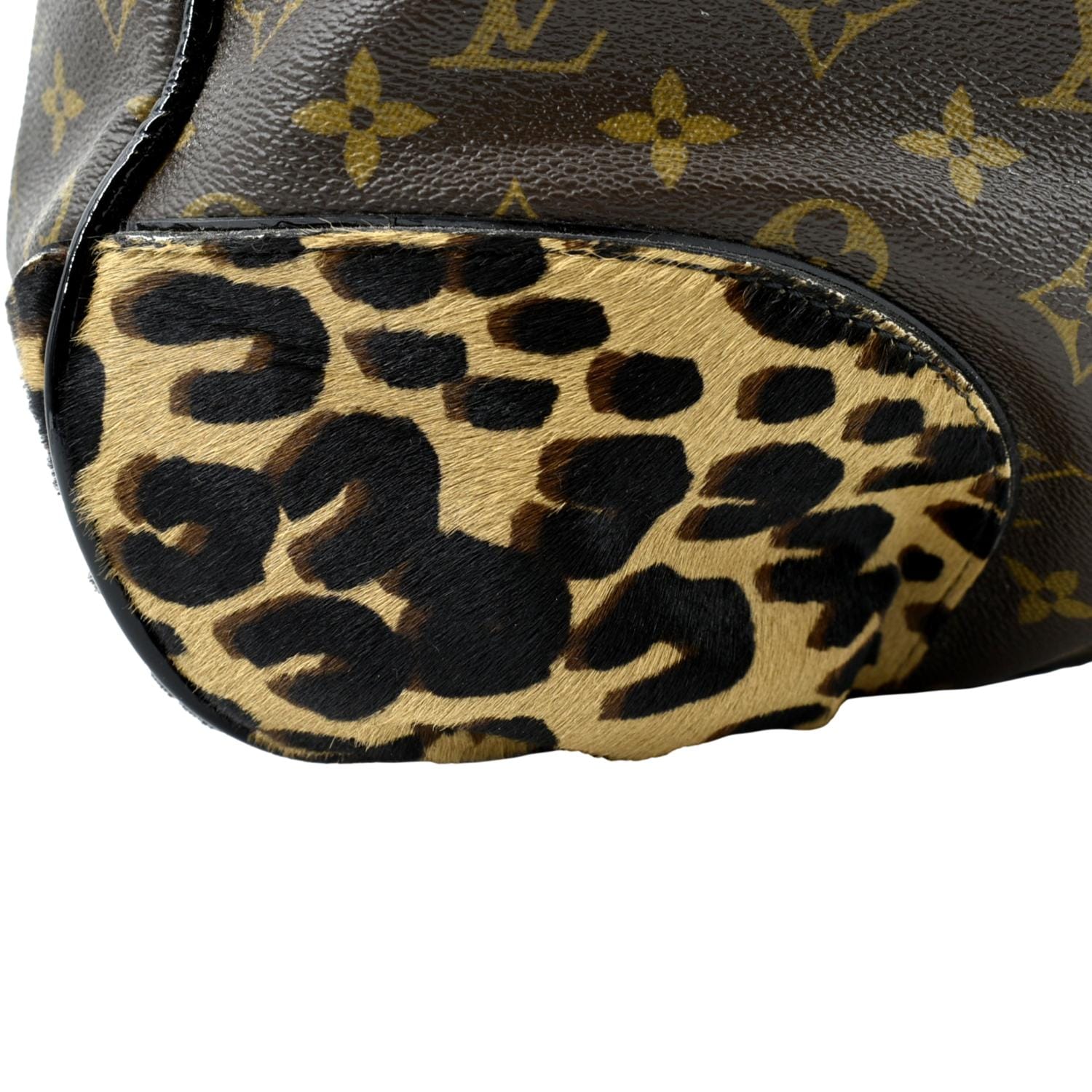 Louis Vuitton Leopard 