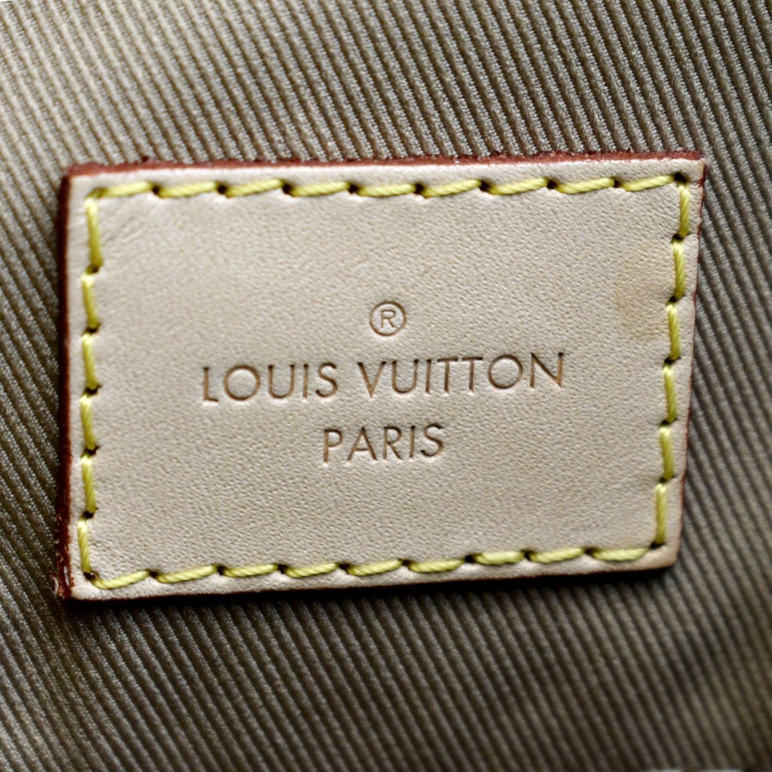 Louis Vuitton Monogram Canvas Graceful PM Hobo Bag at 1stDibs  celebrity louis  vuitton graceful pm, graceful pm louis vuitton, hands bags