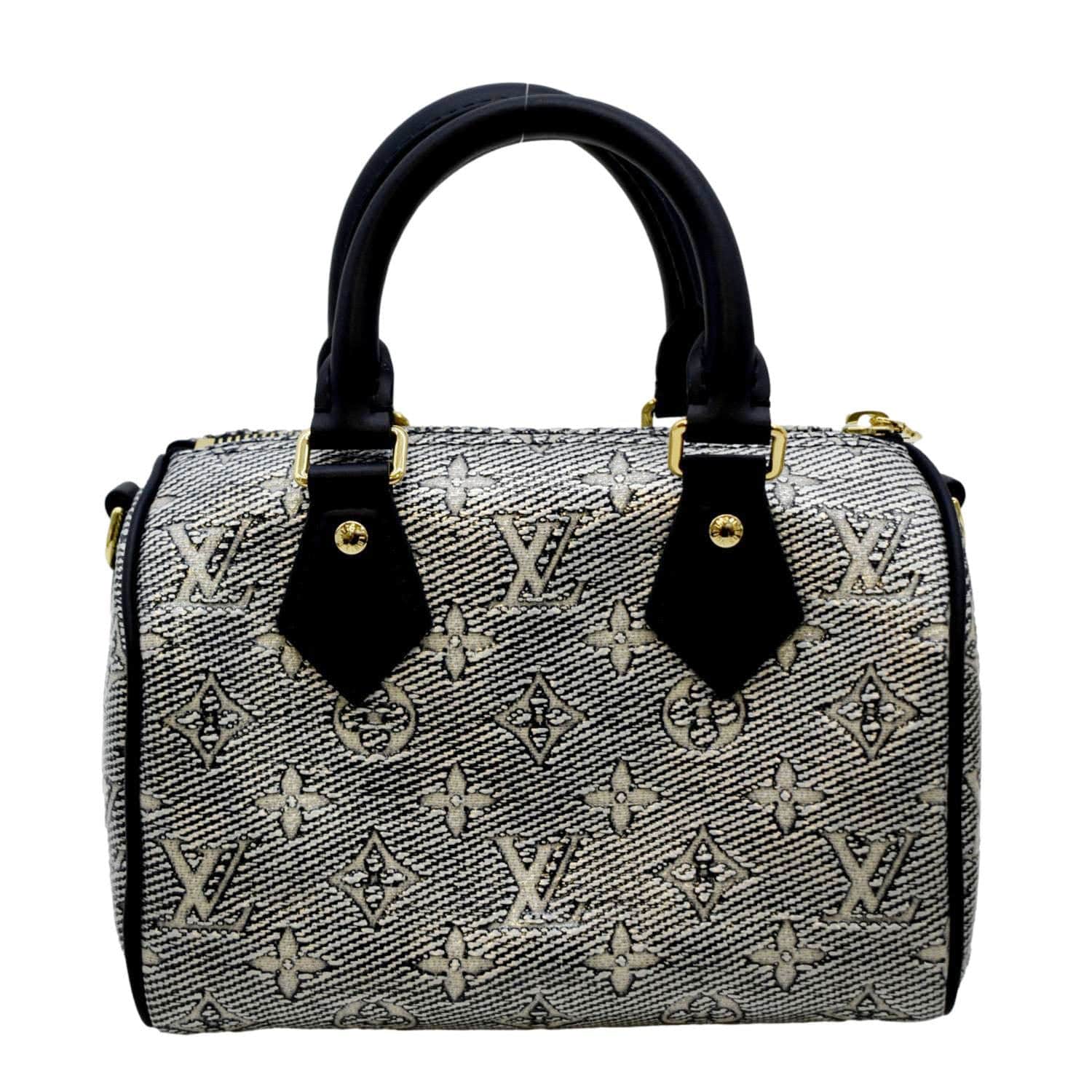 Louis Vuitton LV Speedy 20 Leather Handbag
