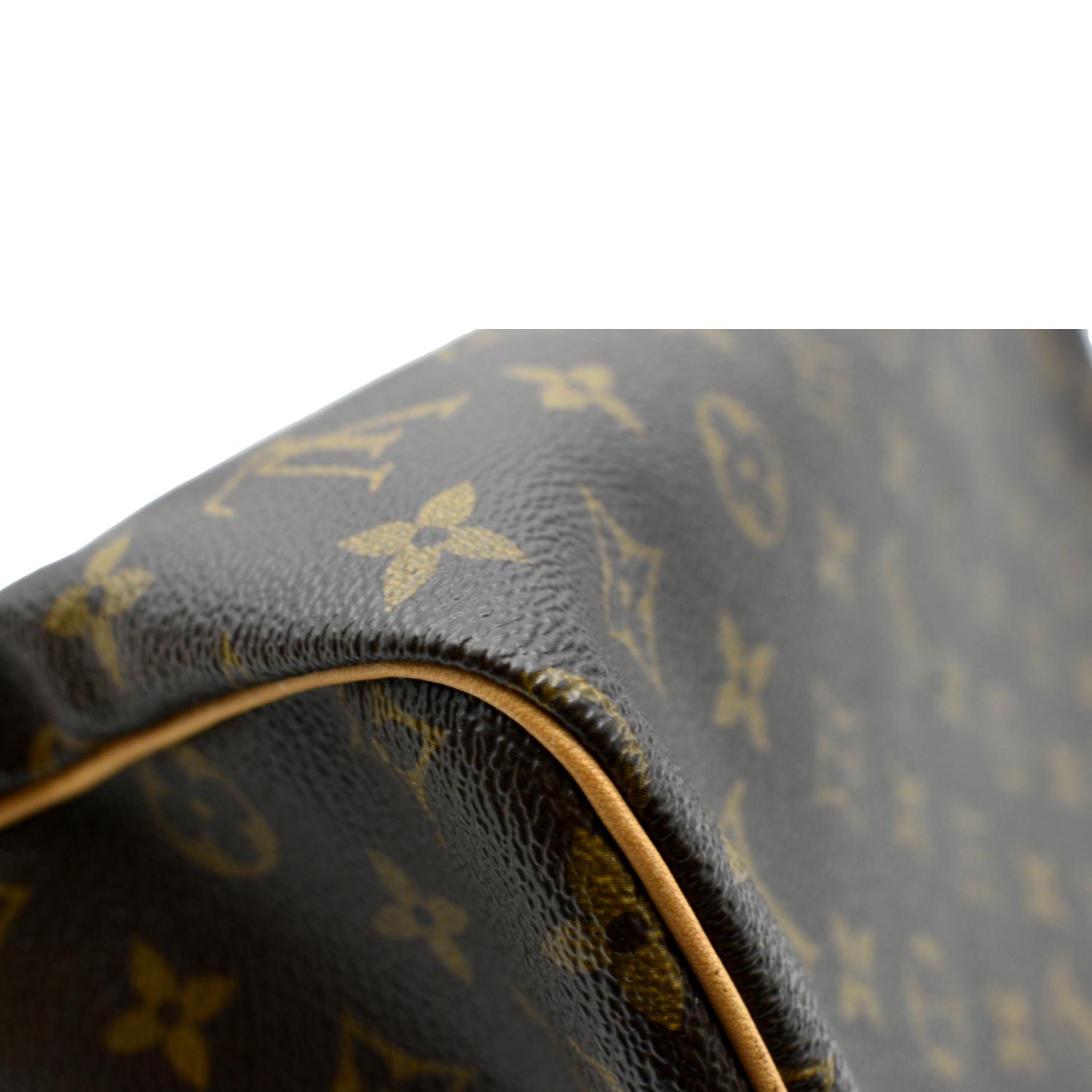 Speedy cloth handbag Louis Vuitton Brown in Cloth - 38094905