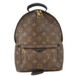 LOUIS VUITTON Palm Springs PM Monogram Canvas Backpack Brown