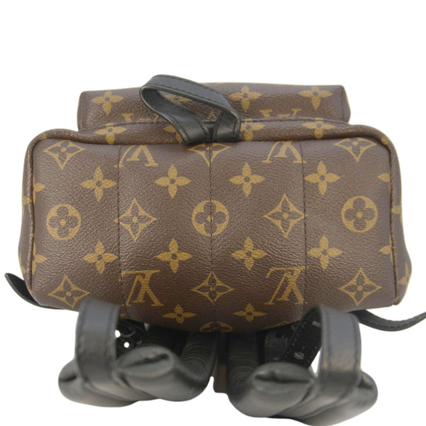 LOUIS VUITTON Palm Springs PM Monogram Canvas Backpack Brown