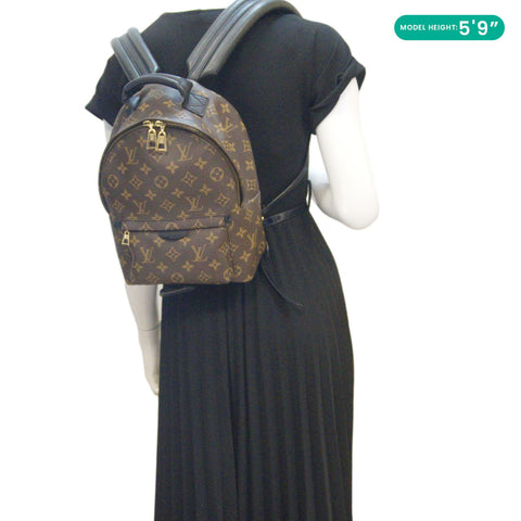 LOUIS VUITTON Palm Springs PM Monogram Canvas Backpack Brown