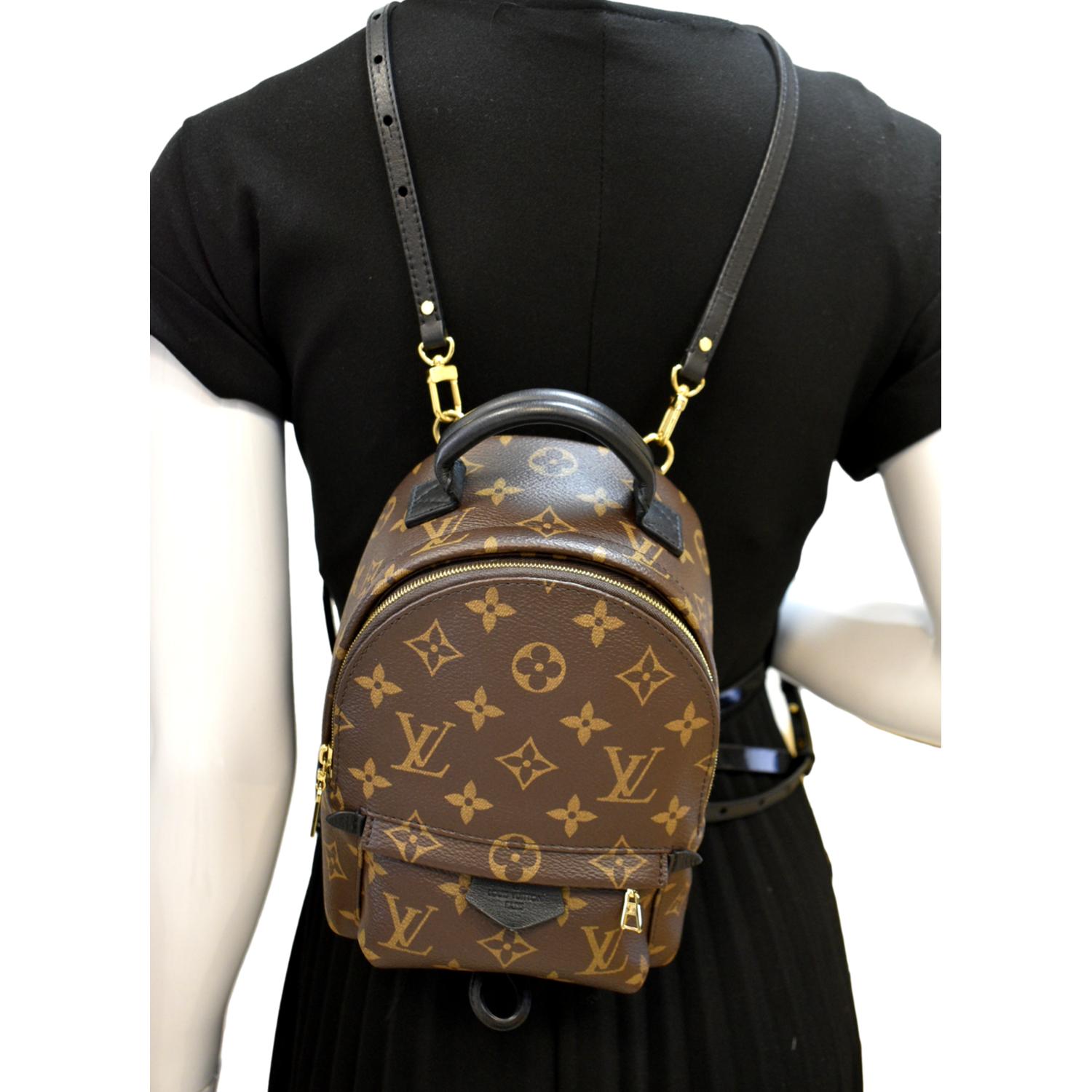 Louis Vuitton mini palm spring backpack