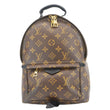 LOUIS VUITTON Palm Springs PM Monogram Canvas Backpack Brown