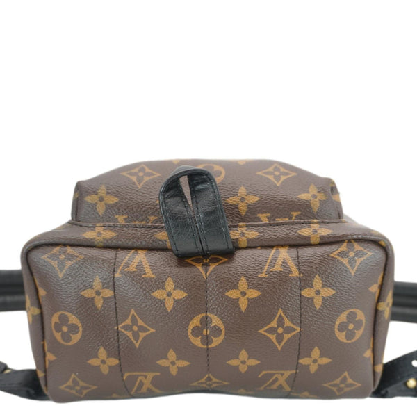 LOUIS VUITTON Palm Springs PM Monogram Canvas Backpack Brown