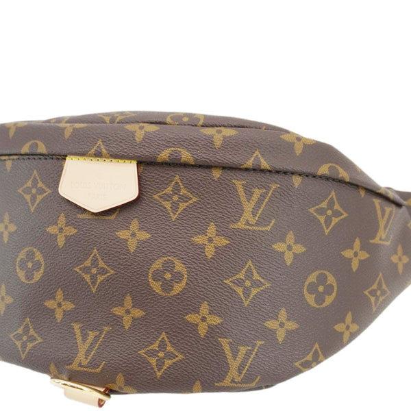 LOUIS VUITTON Monogram Canvas Bumbag Brown