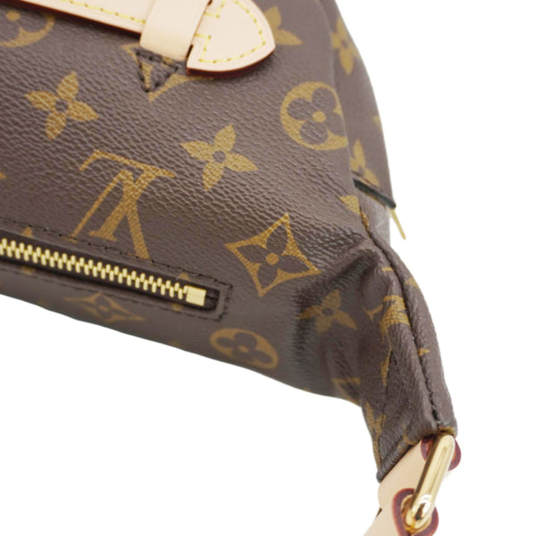 LOUIS VUITTON Monogram Canvas Bumbag Brown