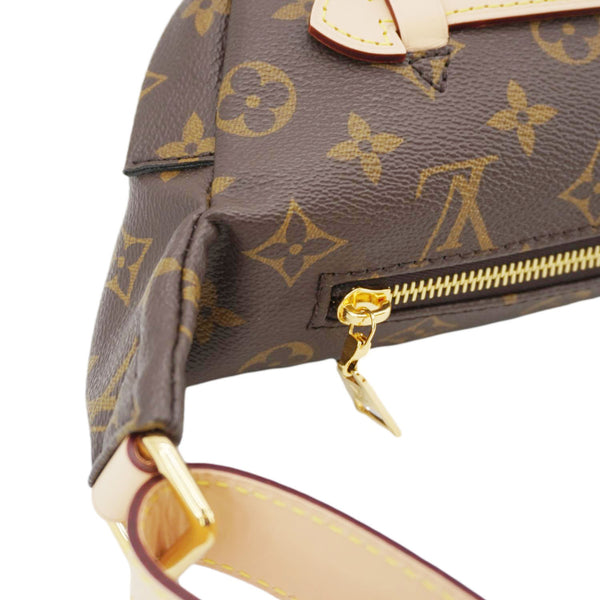 LOUIS VUITTON Monogram Canvas Bumbag Brown