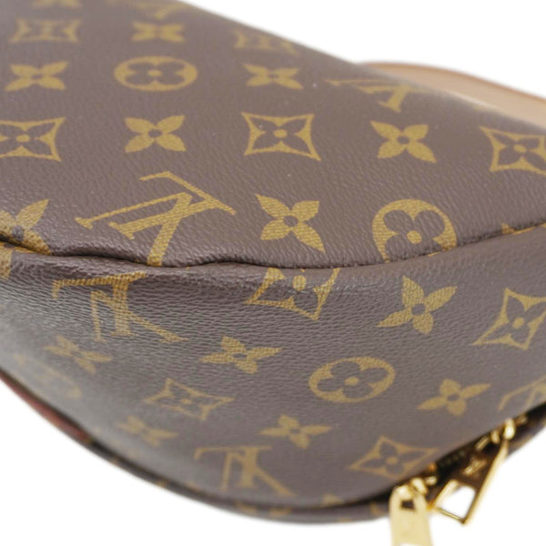 LOUIS VUITTON Monogram Canvas Bumbag Brown