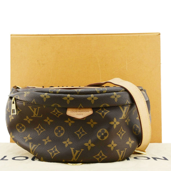 LOUIS VUITTON Monogram Canvas Brown Bumbag  back look