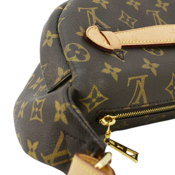 LOUIS VUITTON Monogram Canvas Bumbag Brown