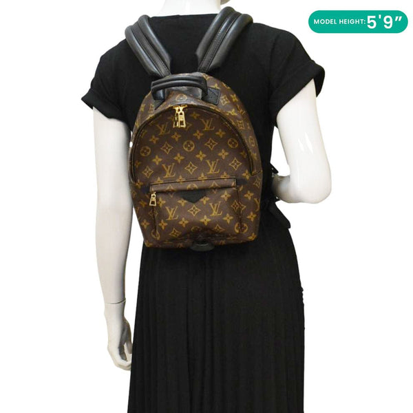 LOUIS VUITTON Palm Springs PM Monogram Canvas Backpack Brown