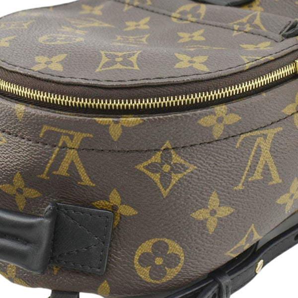 LOUIS VUITTON Palm Springs Mini Monogram Canvas Backpack Brown