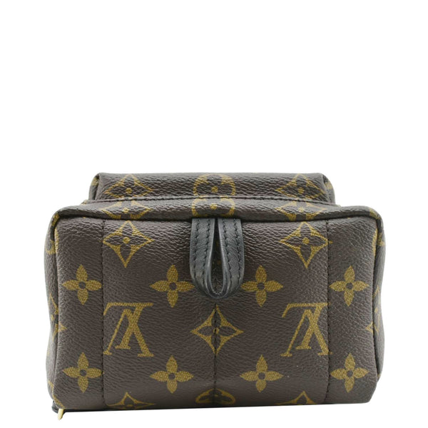 LOUIS VUITTON Palm Springs Mini Monogram Canvas Backpack Brown