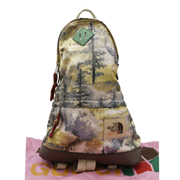 GUCCI x The North Face Mountain Print Nylon front side look