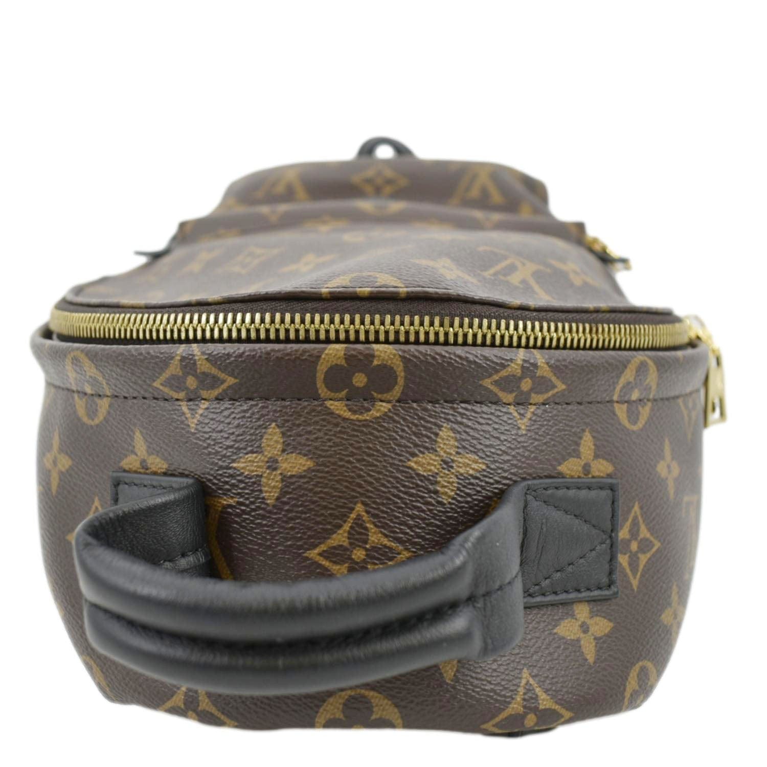 Louis Vuitton Palm Springs PM Monogram Canvas Backpack