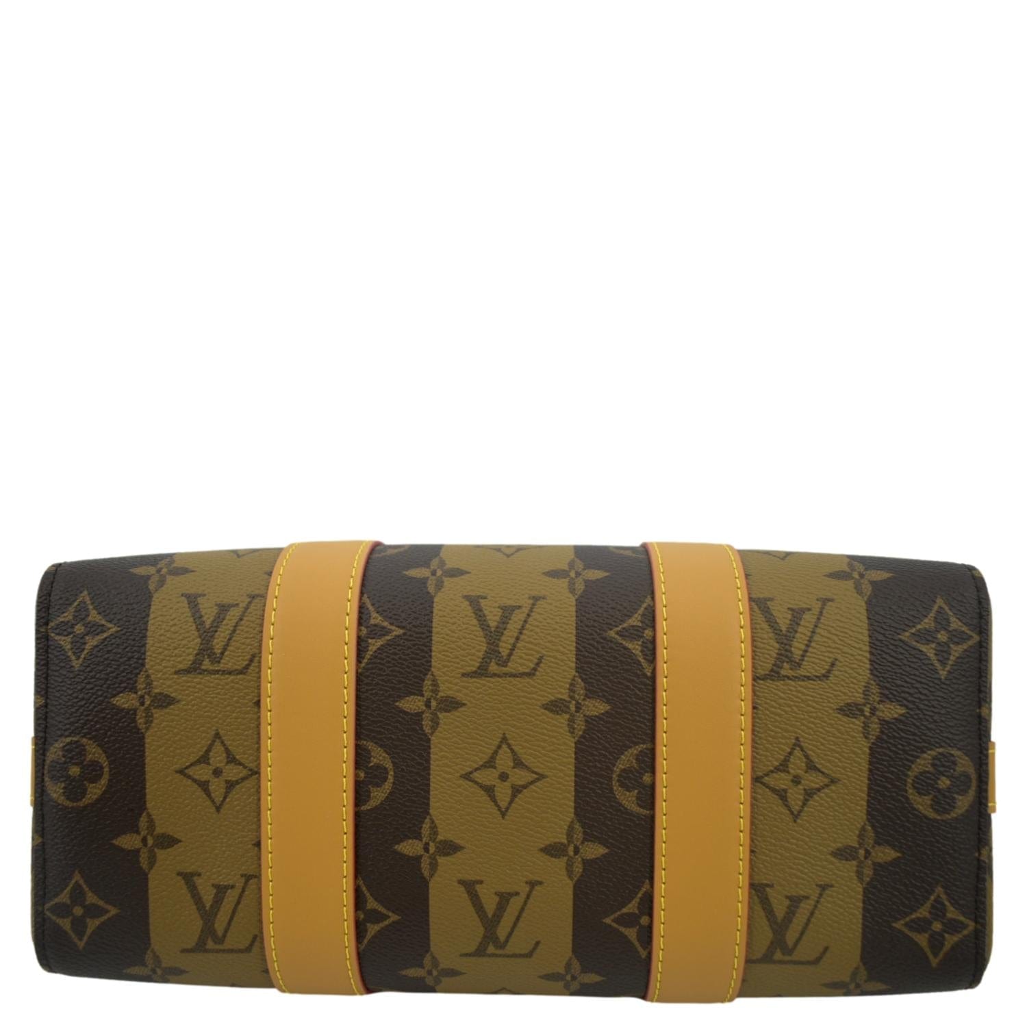 Louis Vuitton x Nigo City Keepall Monogram Stripes Brown