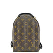 files/LOUIS_VUITTON_Palm_Springs_Mini_Monogram_Canvas_Backpack.jpg