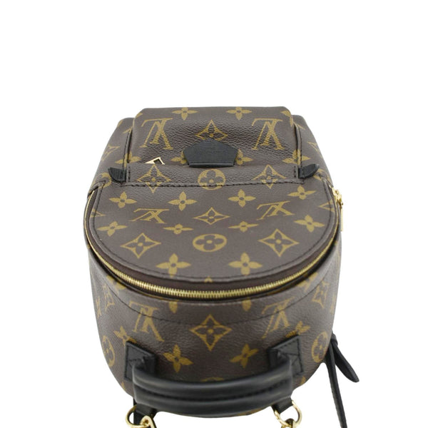 LOUIS VUITTON Palm Springs Mini Monogram Canvas Backpack Brown upper look