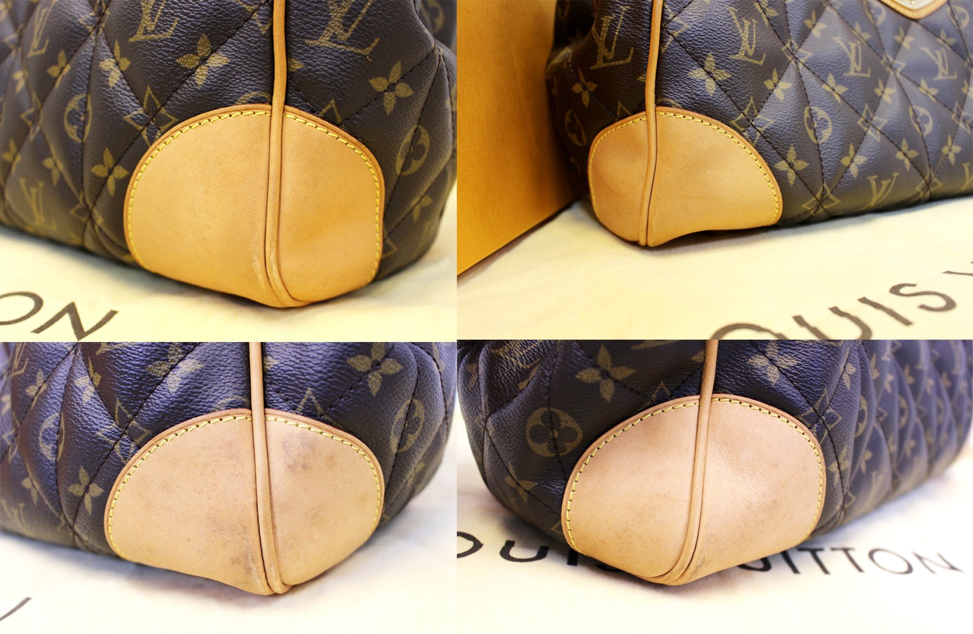 Louis Vuitton Monogram GAÏA Bag