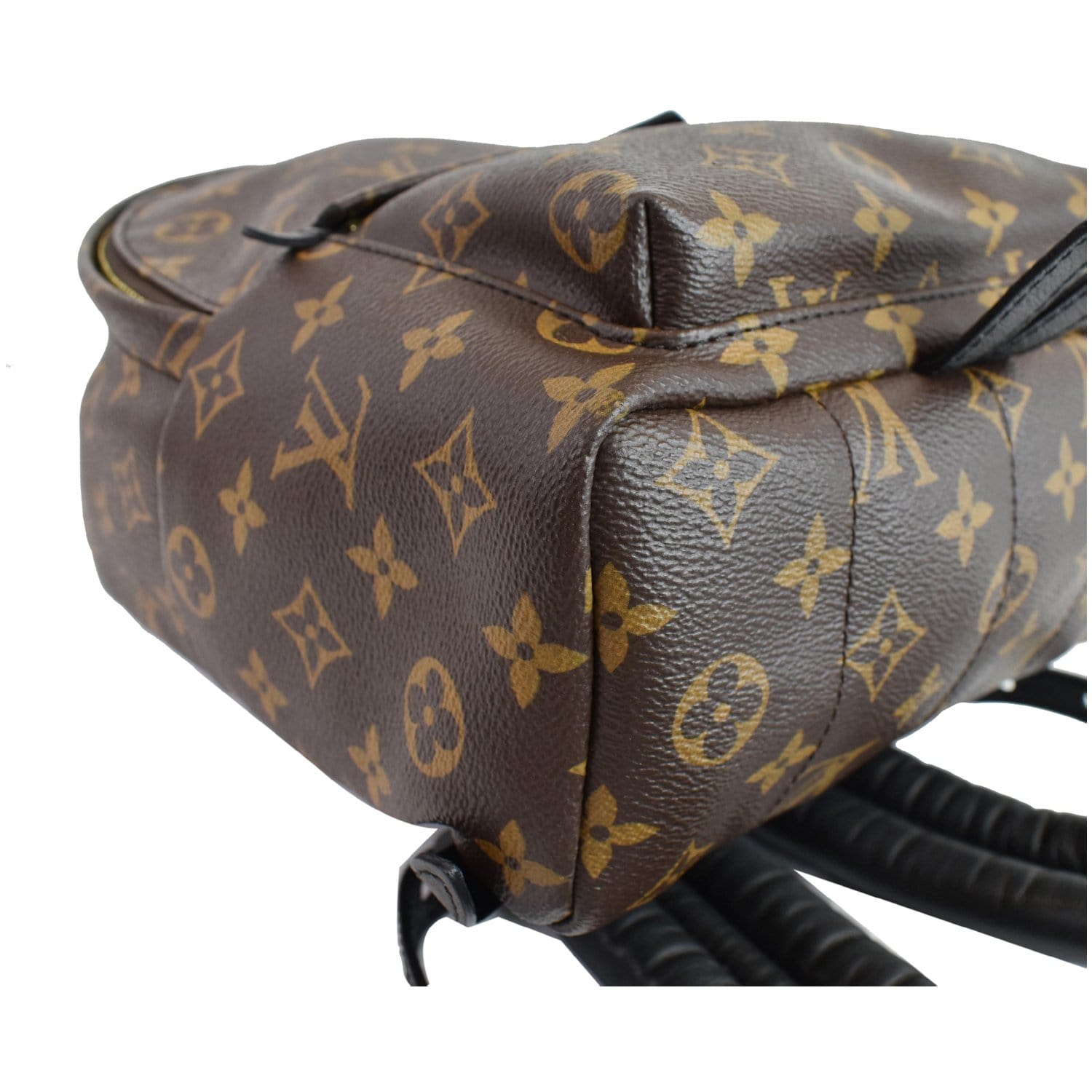 Louis Vuitton Monogram Palm Springs PM Backpack Leather ref.336785 - Joli  Closet