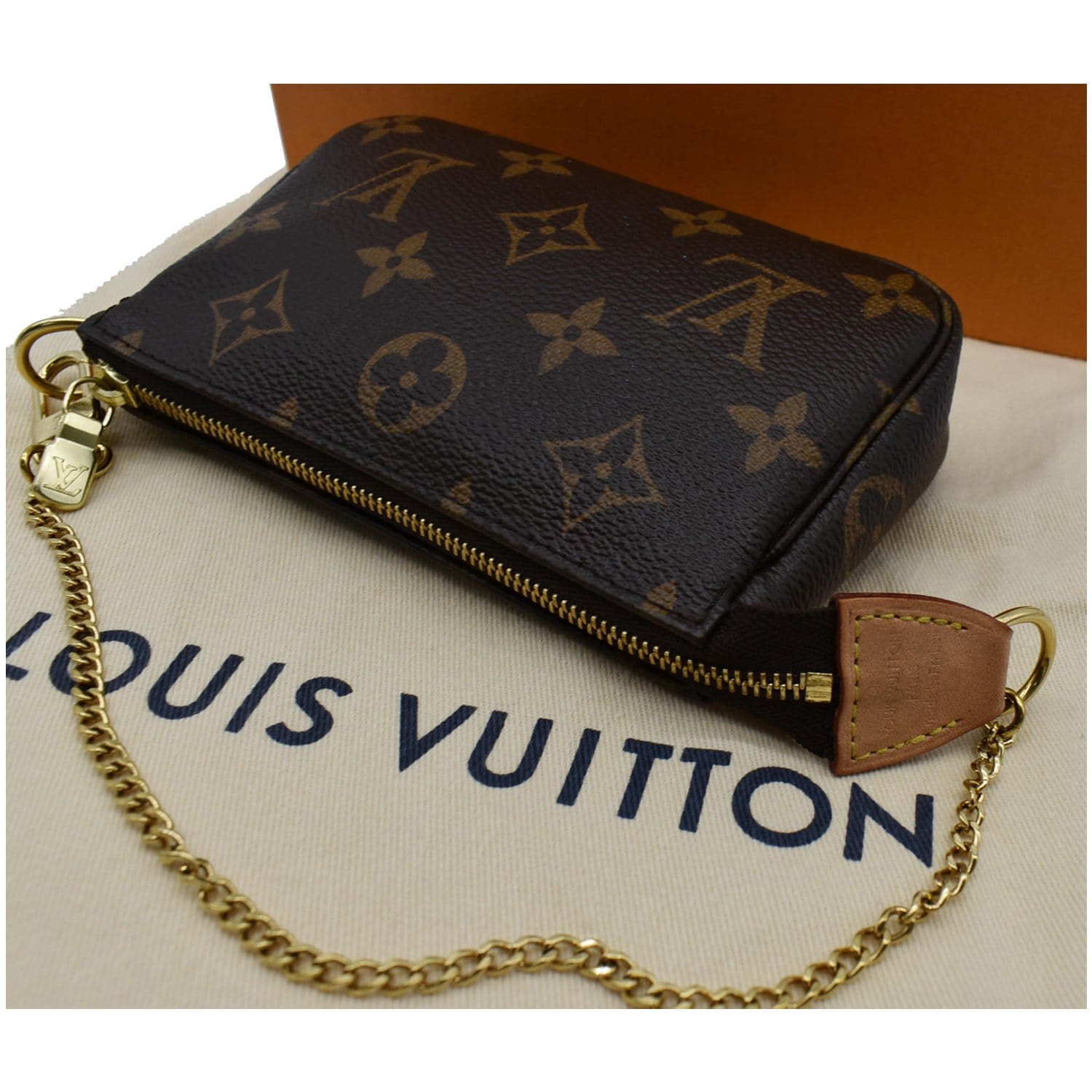 Louis Vuitton Monogram Canvas Mini Accessories Pochette Bag