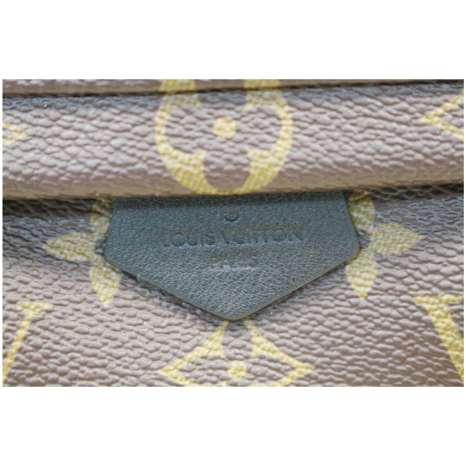 Louis Vuitton Palm Spring Small Model Brown Cloth ref.120237