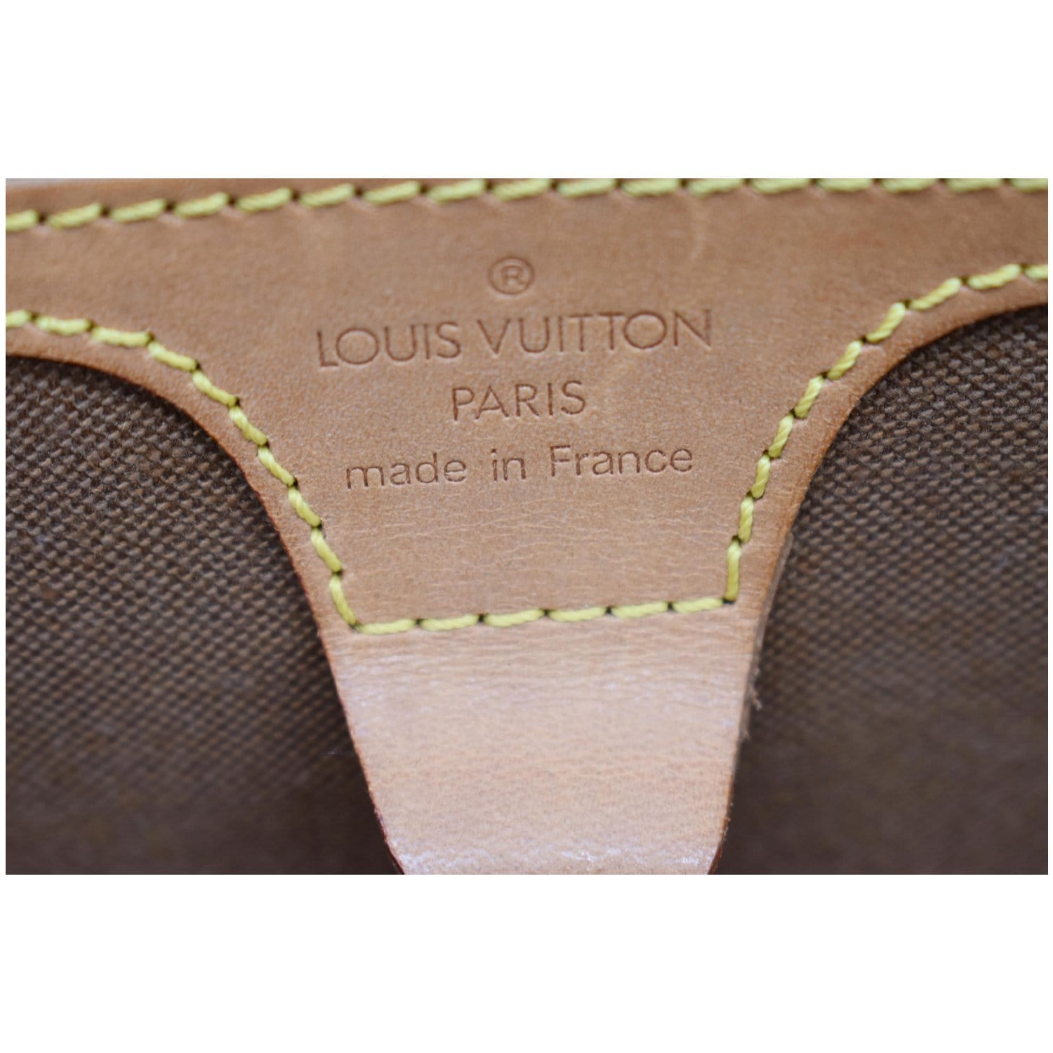 Louis Vuitton Brown Monogram Ellipse Backpack Cloth ref.951548 - Joli Closet