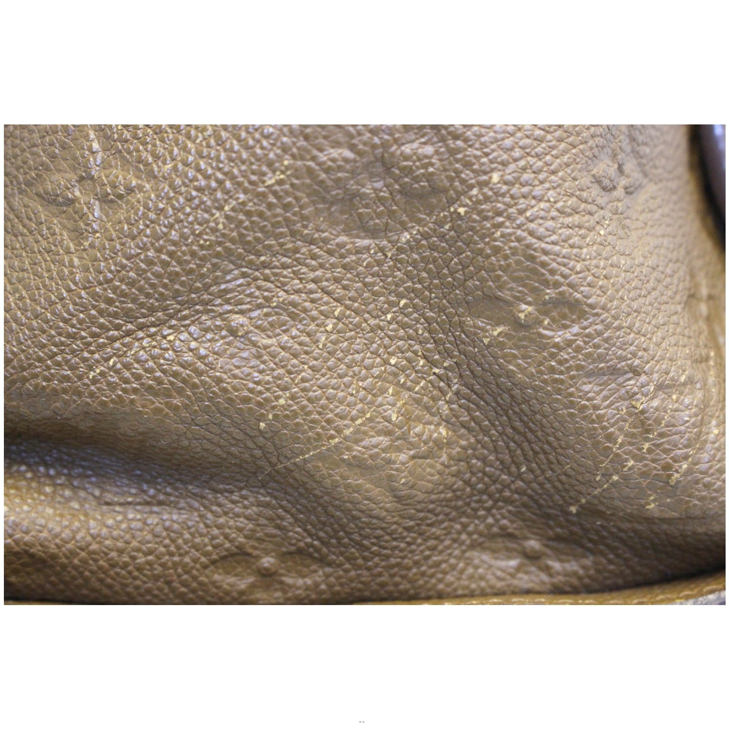 Louis Vuitton Lumineuse Leather Shoulder Bag (pre-owned) in Metallic
