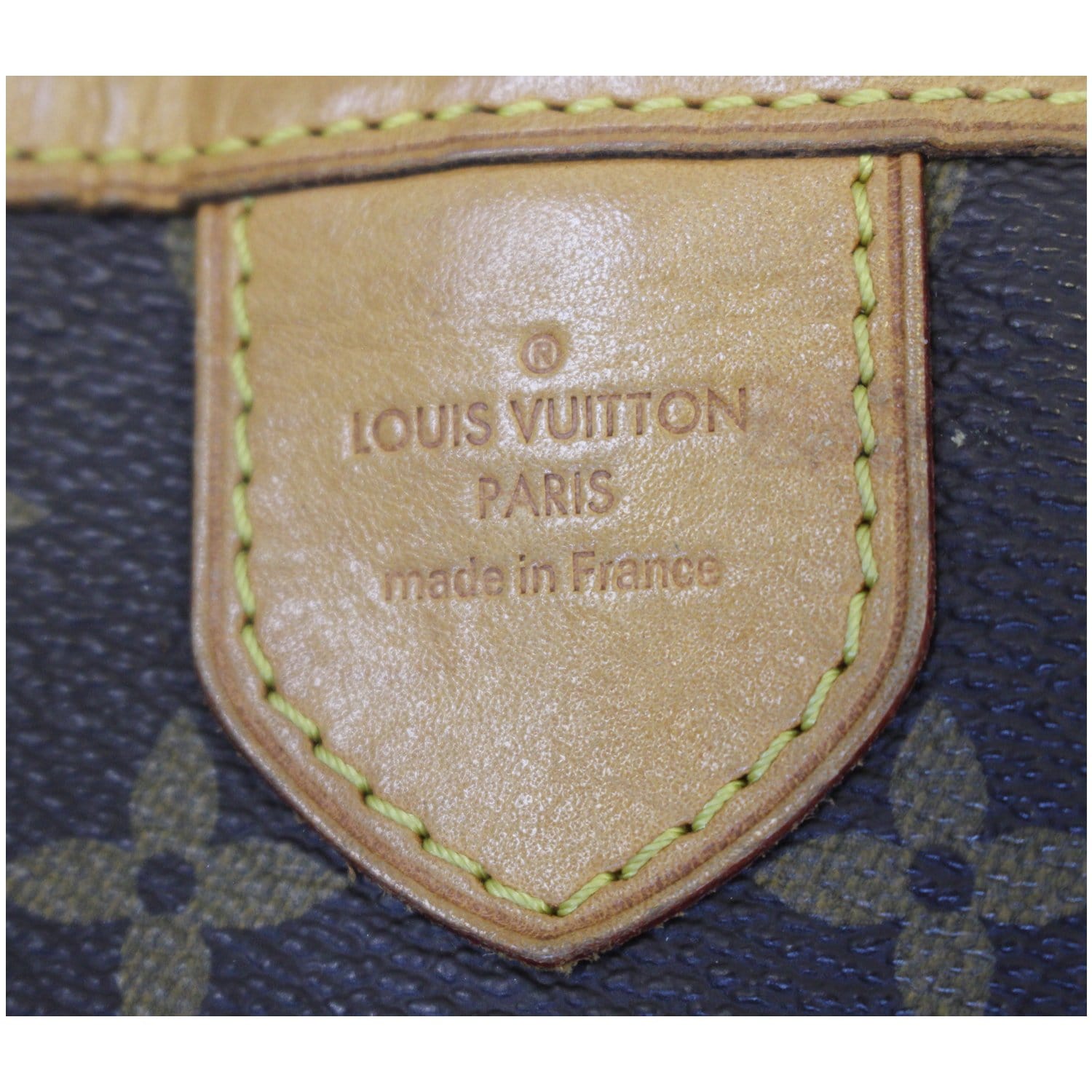 Louis Vuitton Monogram Delightful Gm Nm 529861