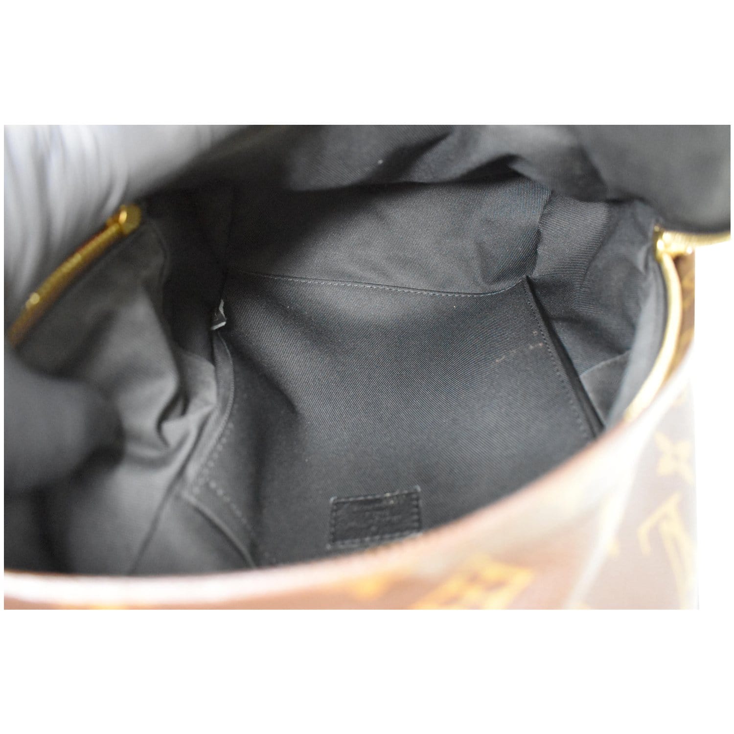 Louis Vuitton Monogram Mini Palm Springs - Brown Backpacks, Handbags -  LOU801678