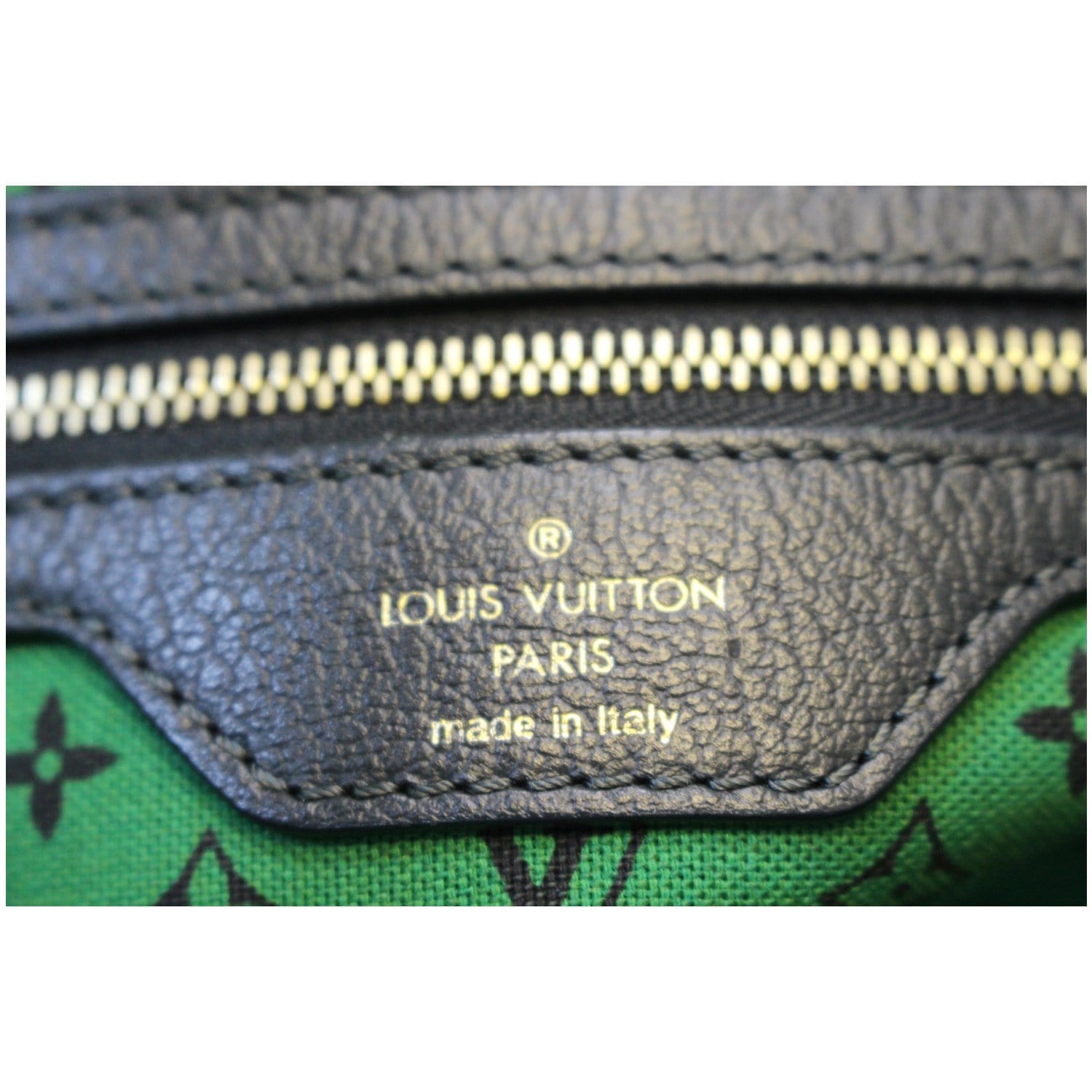 Louis Vuitton Green Limited Edition Canvas Escale Ailleurs Cabas PM Bag  Louis Vuitton