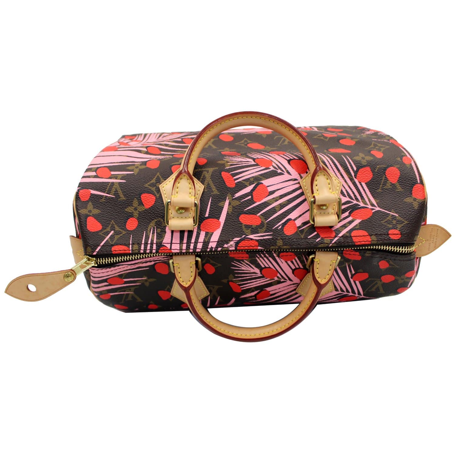 Palm Springs PM Jungle Giant Monogram – Keeks Designer Handbags