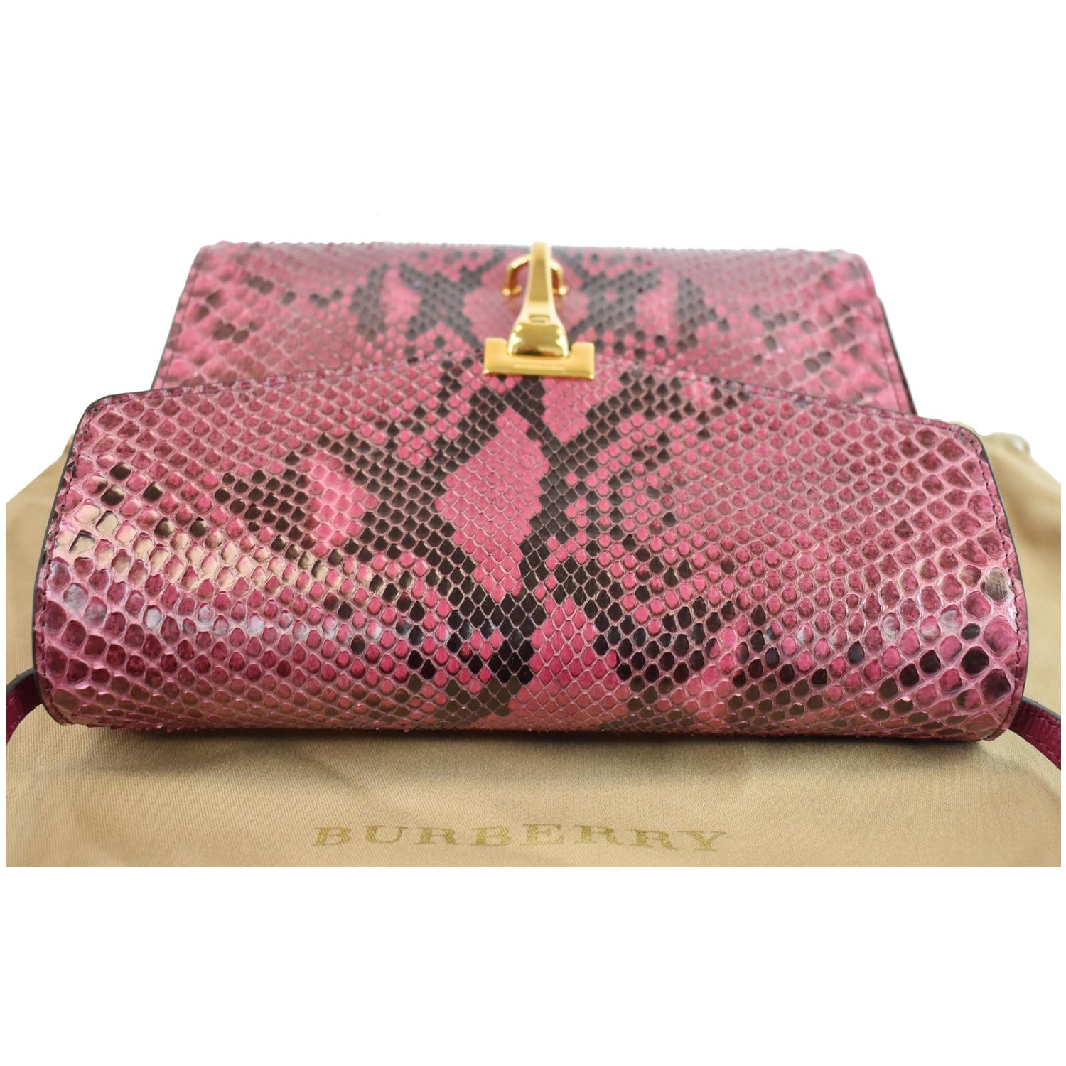 Madalena bag in python print leather - Brick - Brontibay