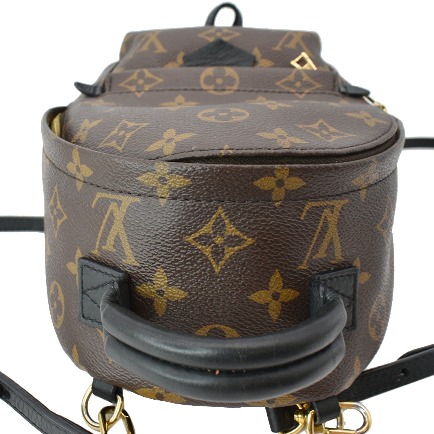 Louis Vuitton Palm Springs Mini Backpack — LSC INC