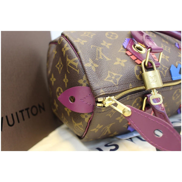 LOUIS VUITTON Totem Speedy 30 Monogram Canvas Satchel Bag-US