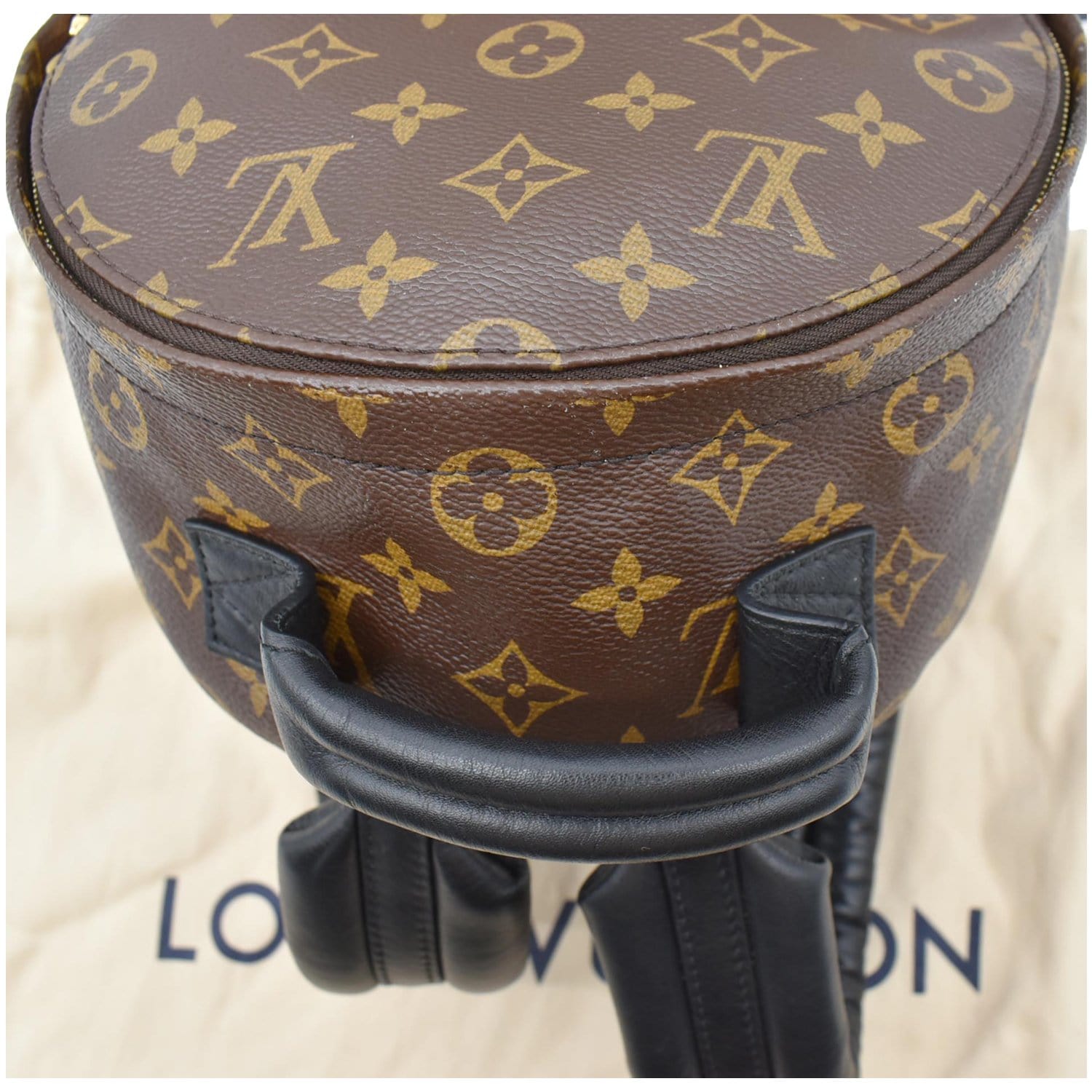 Brown Louis Vuitton Monogram Reverse Palm Springs PM Backpack