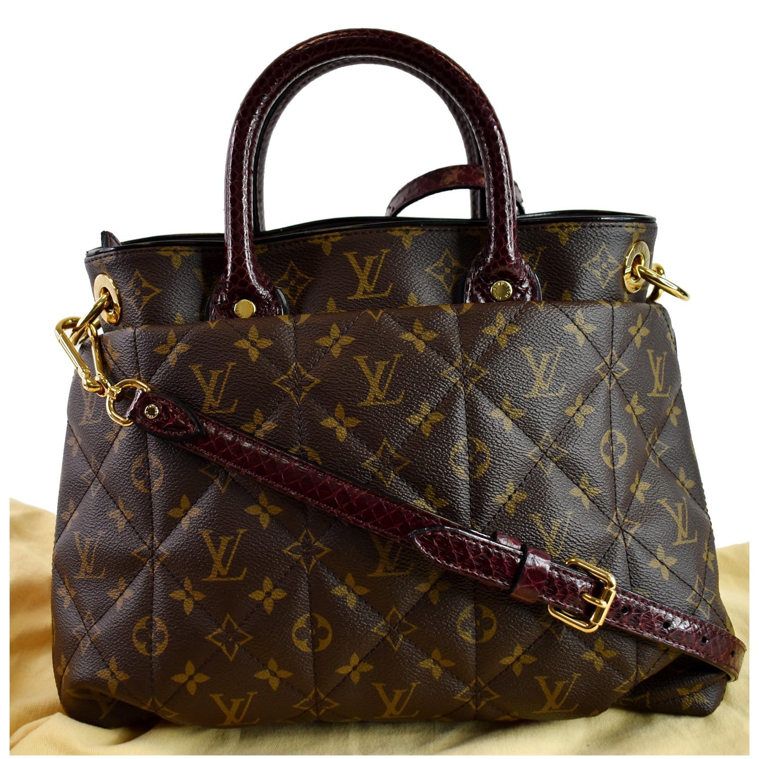 Louis Vuitton Monogram Canvas & Python Etoile Exotique Bag