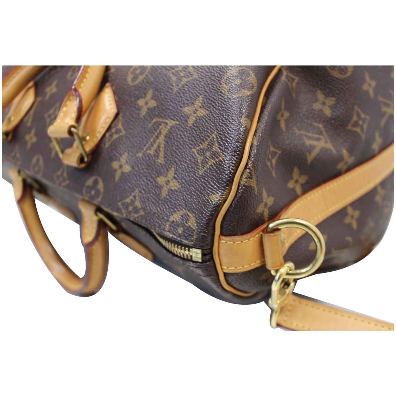 Louis Vuitton Speedy Doctor Bag