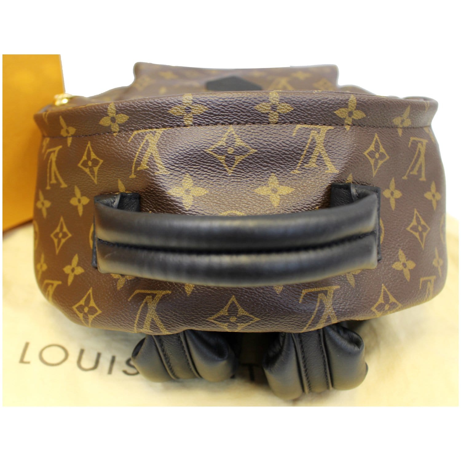 Louis Vuitton Palm Springs MM – Iconics Preloved Luxury