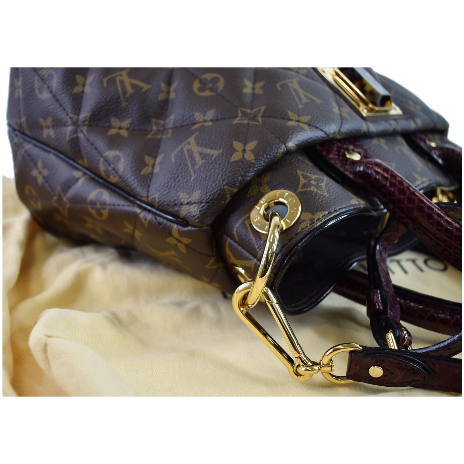 Louis Vuitton Limited Edition Monogram Etoile Exotique Bag