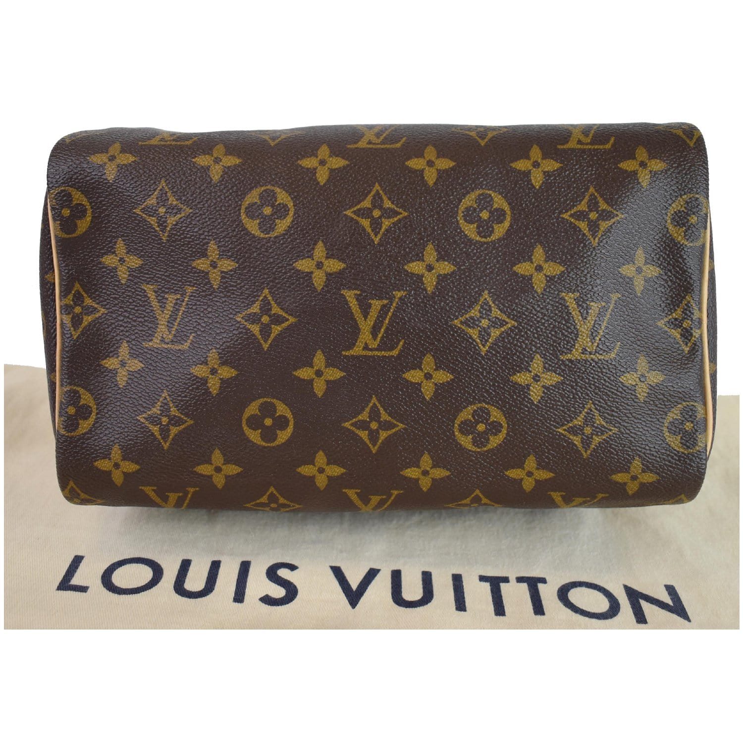 Louis Vuitton Monogram Canvas Custom Paint Speedy 25 at 1stDibs
