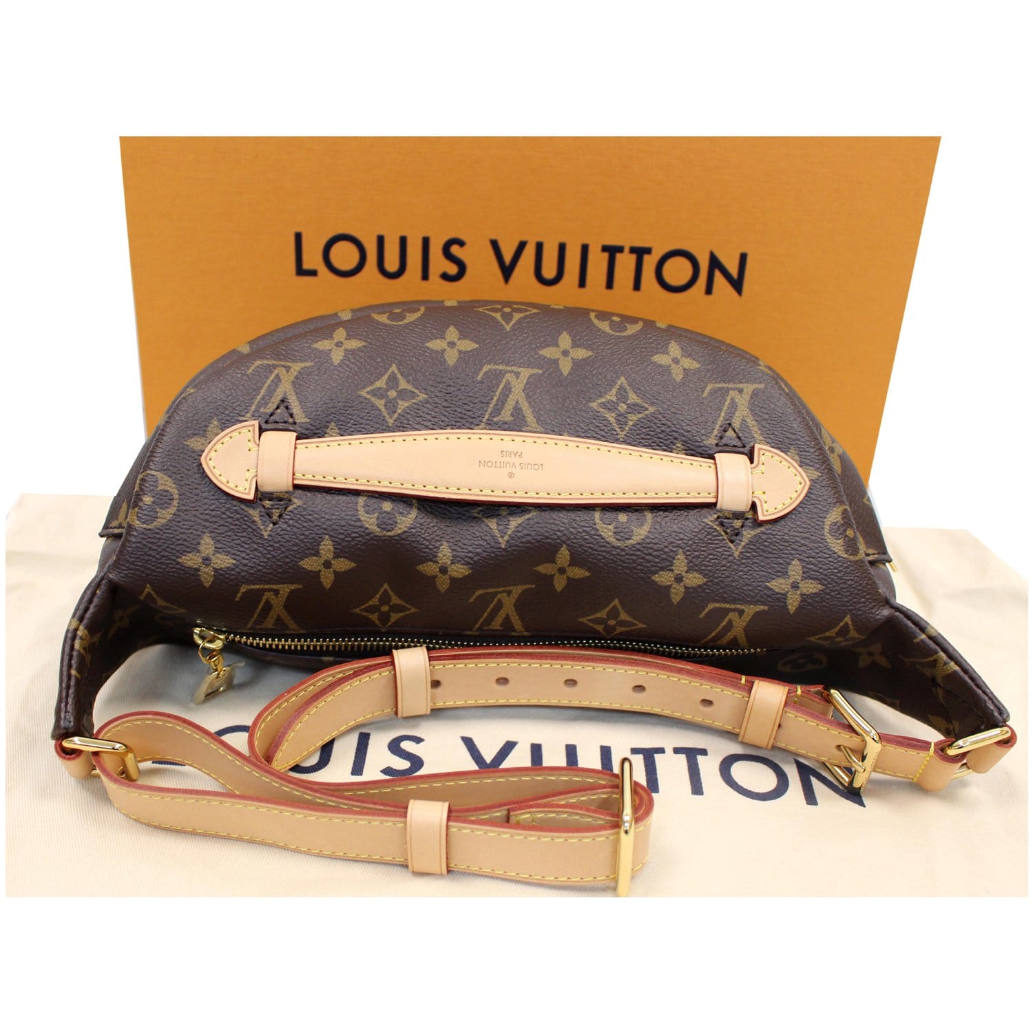Louis Vuitton Bum Bag Monogram Canvas For Sale at 1stDibs