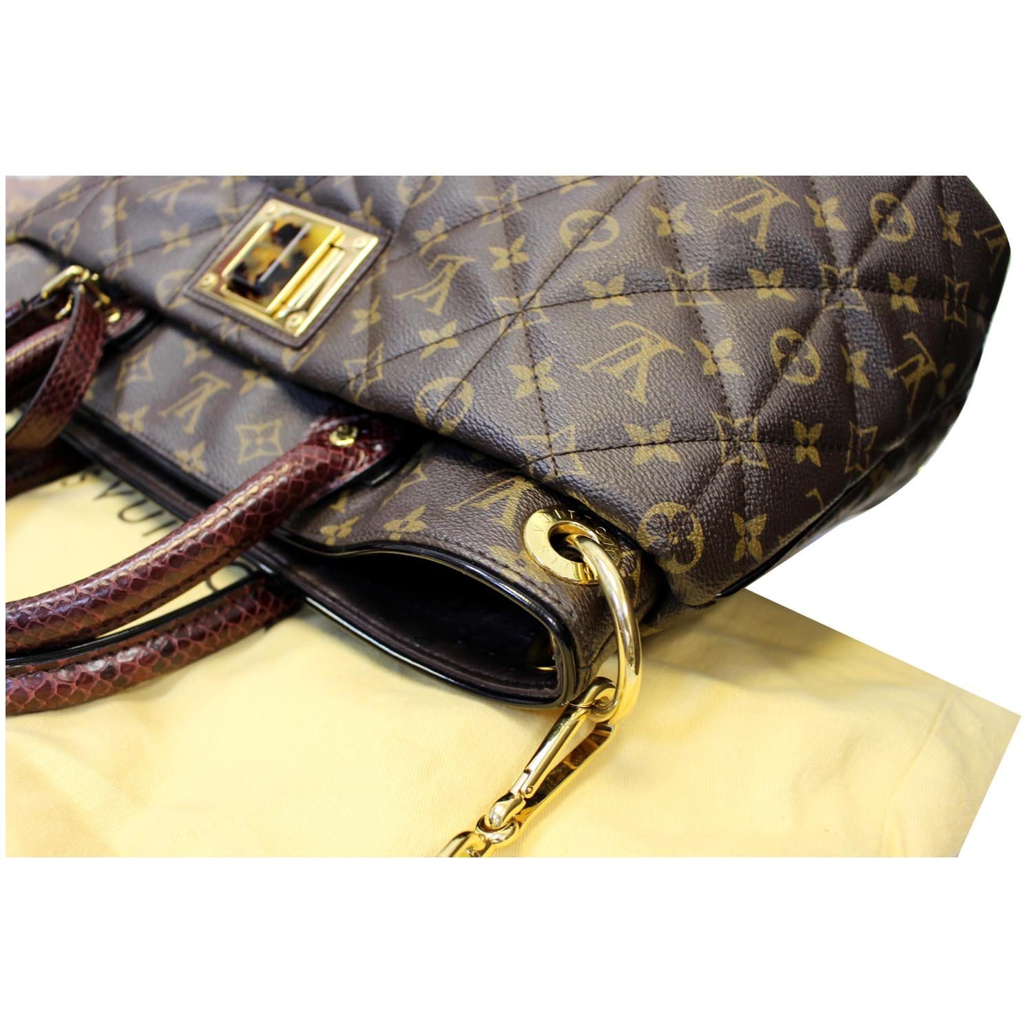 Louis Vuitton Etoile Exotique GM Brown Exotic leather Python ref.120596 -  Joli Closet