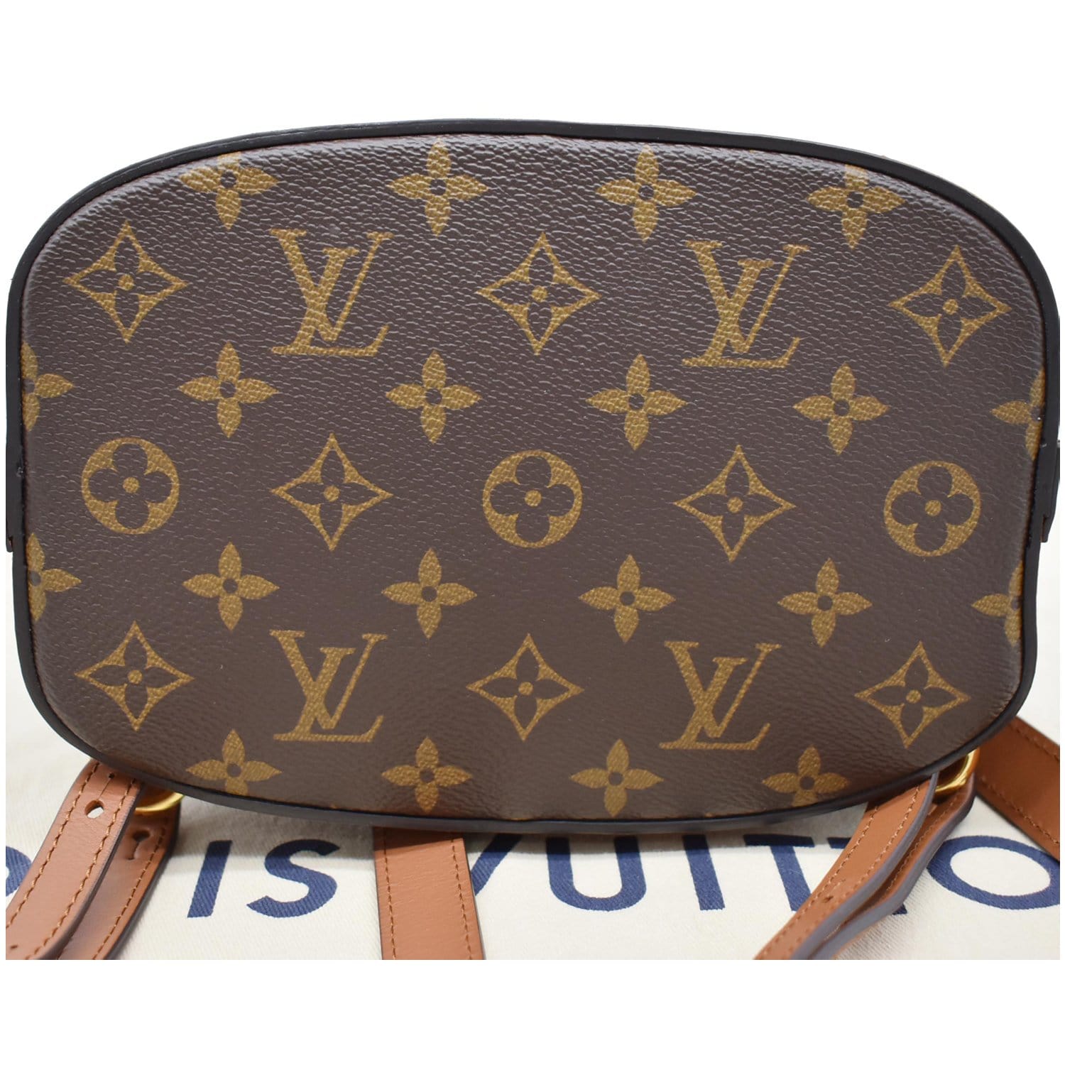 Louis Vuitton Reverse Monogram Dauphine Backpack PM at 1stDibs